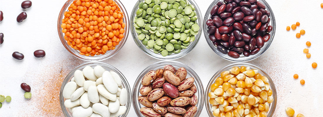 hosokawa-Legumbres, leguminosas y prote&iacute;nas-1