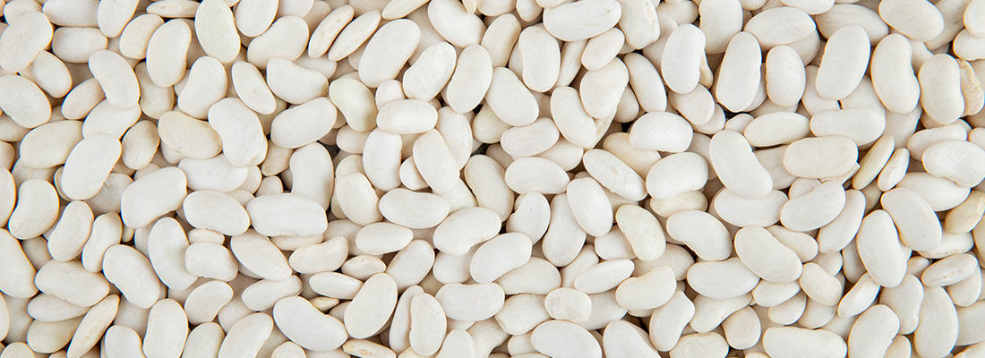 hosokawa-Legumbres, leguminosas y prote&iacute;nas-3