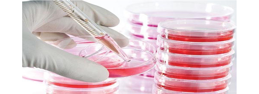 hosokawa-Medios de cultivo celular-06000000