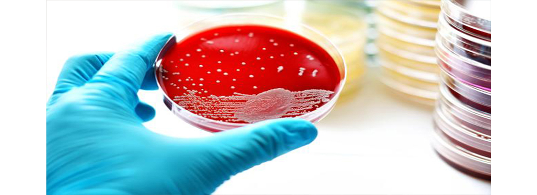 hosokawa-Medios de cultivo celular-47000000