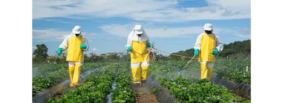 hosokawa-Procesamiento Agroqu&iacute;micos-30000000