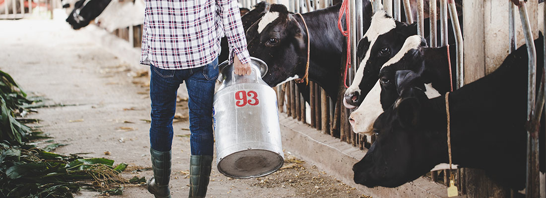 hosokawa-Procesamiento de alimento para animales - Animal feed-3