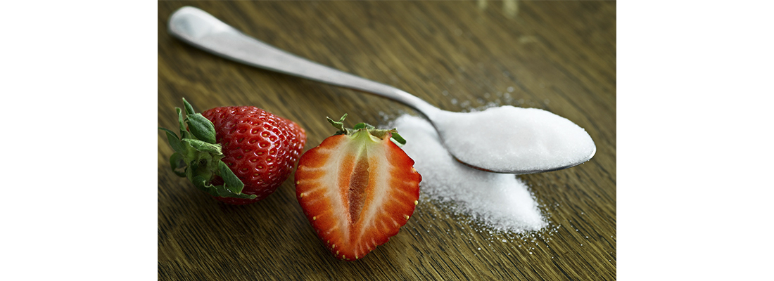 hosokawa-Procesamiento de Az&uacute;car-45000000