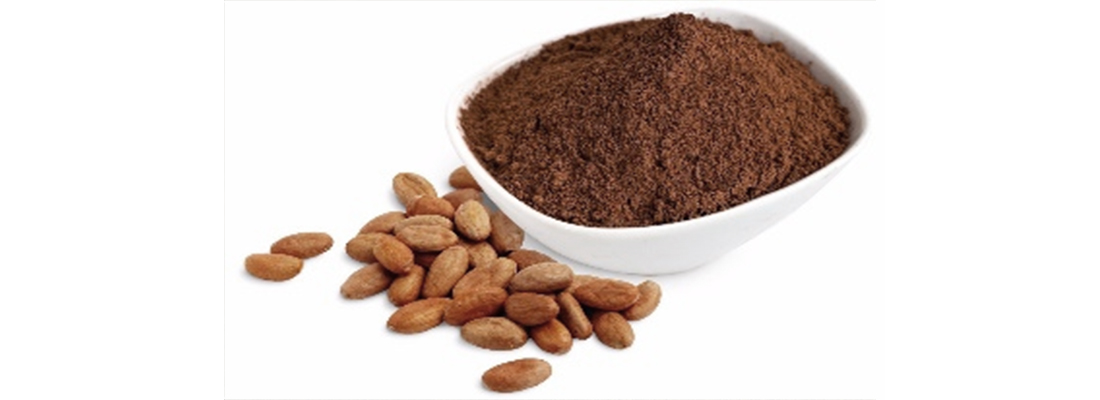 hosokawa-Procesamiento de Cacao-33000000