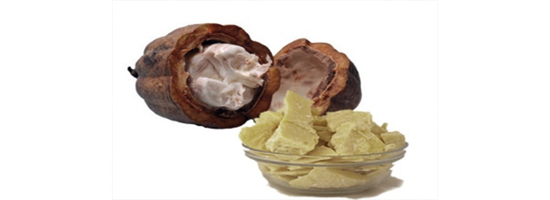 hosokawa-Procesamiento de Cacao-45000000