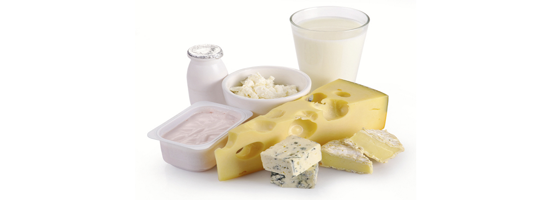 hosokawa-Procesamiento de Calcio-4