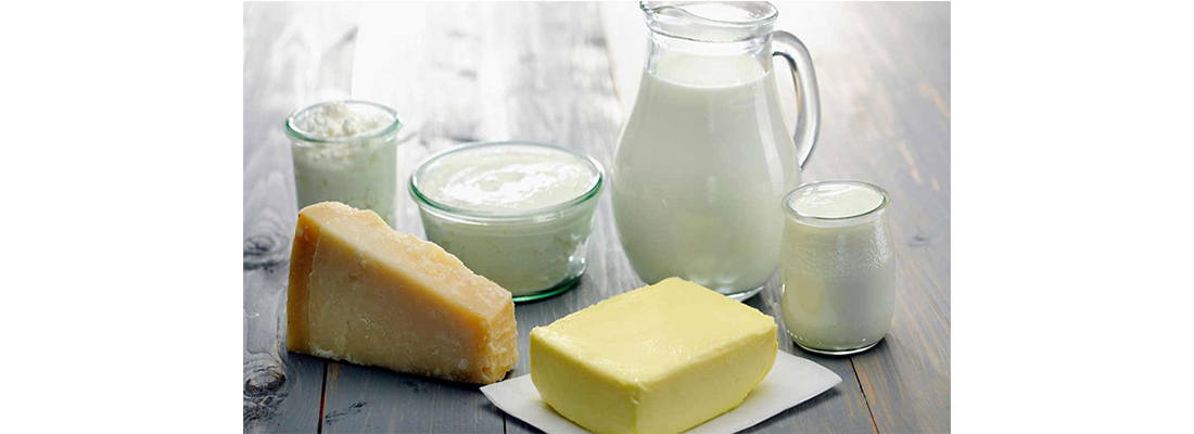 hosokawa-Procesamiento de Lactosa-44000000