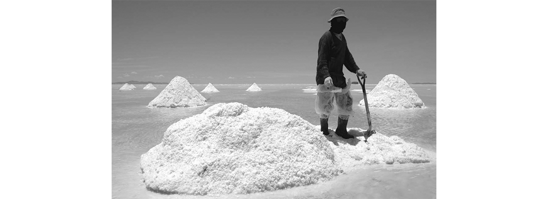 hosokawa-Procesamiento de Litio-10000000