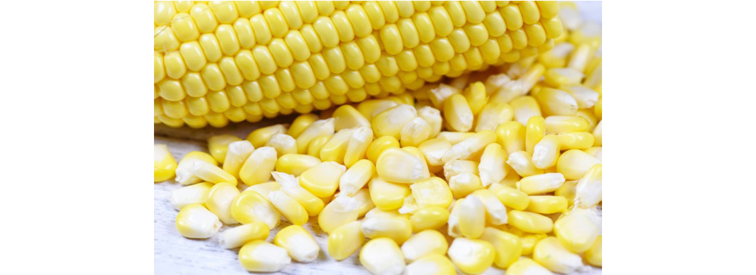 hosokawa-Procesamiento de Maiz-05000000