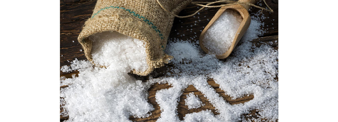 hosokawa-Procesamiento de Sal-1