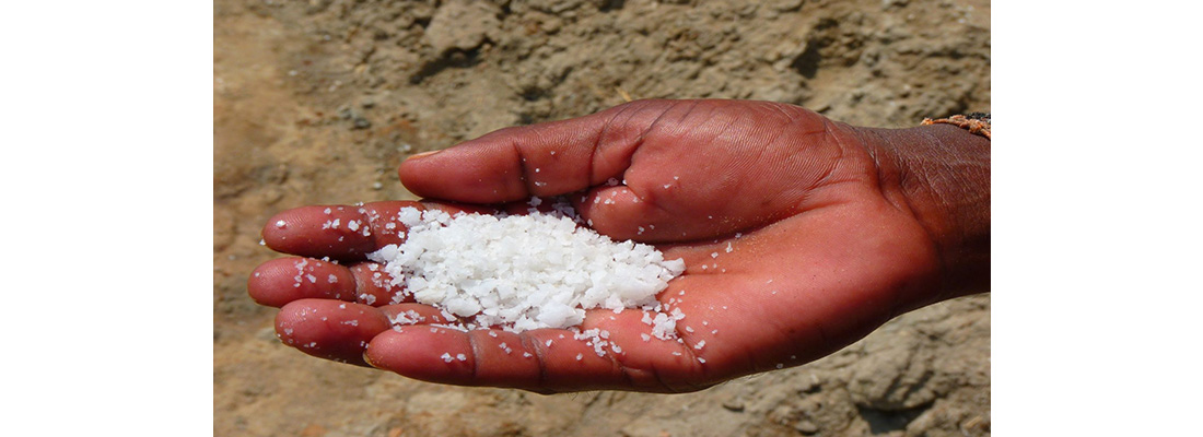 hosokawa-Procesamiento de Sal-28000000