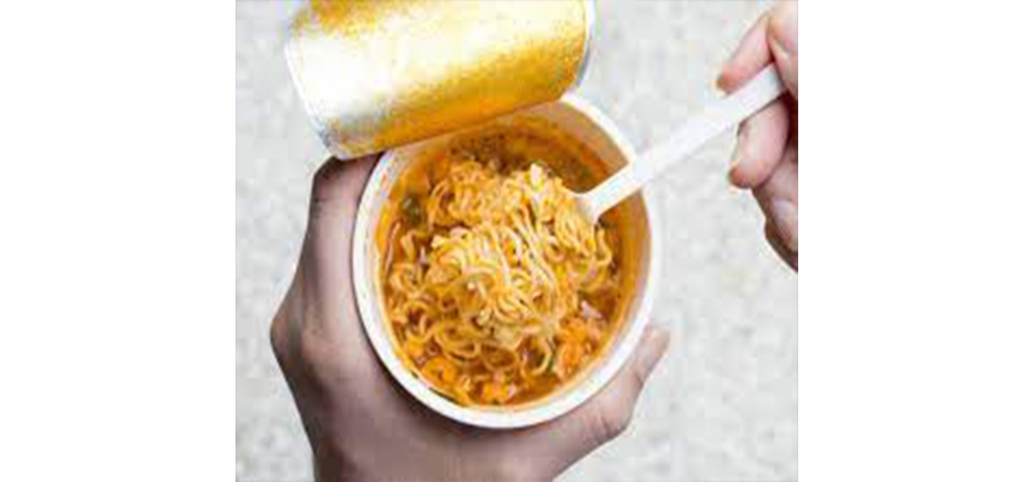 hosokawa-Procesamiento de Sopa Instant&aacute;nea-2