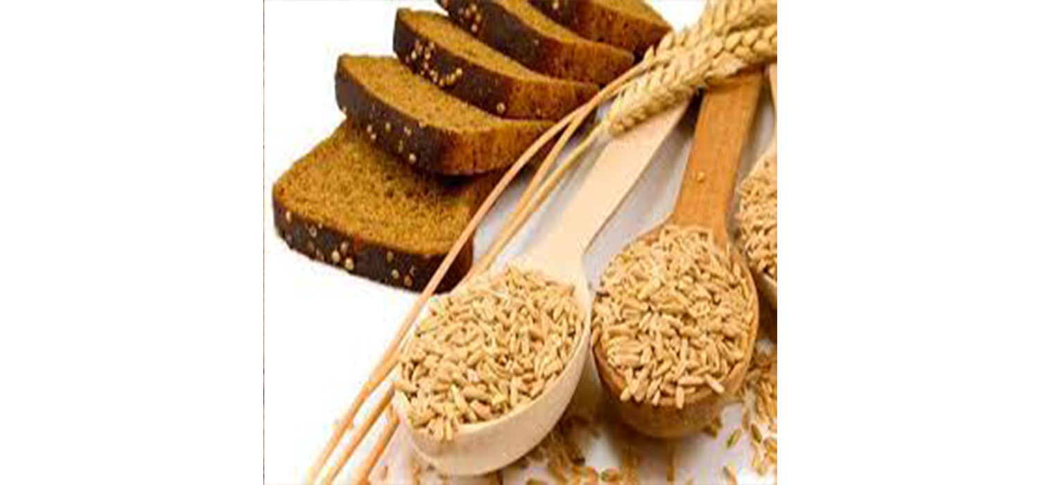 hosokawa-Salvado-19000000