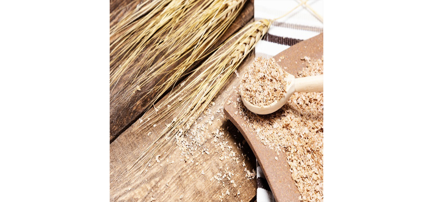 hosokawa-Salvado-24000000