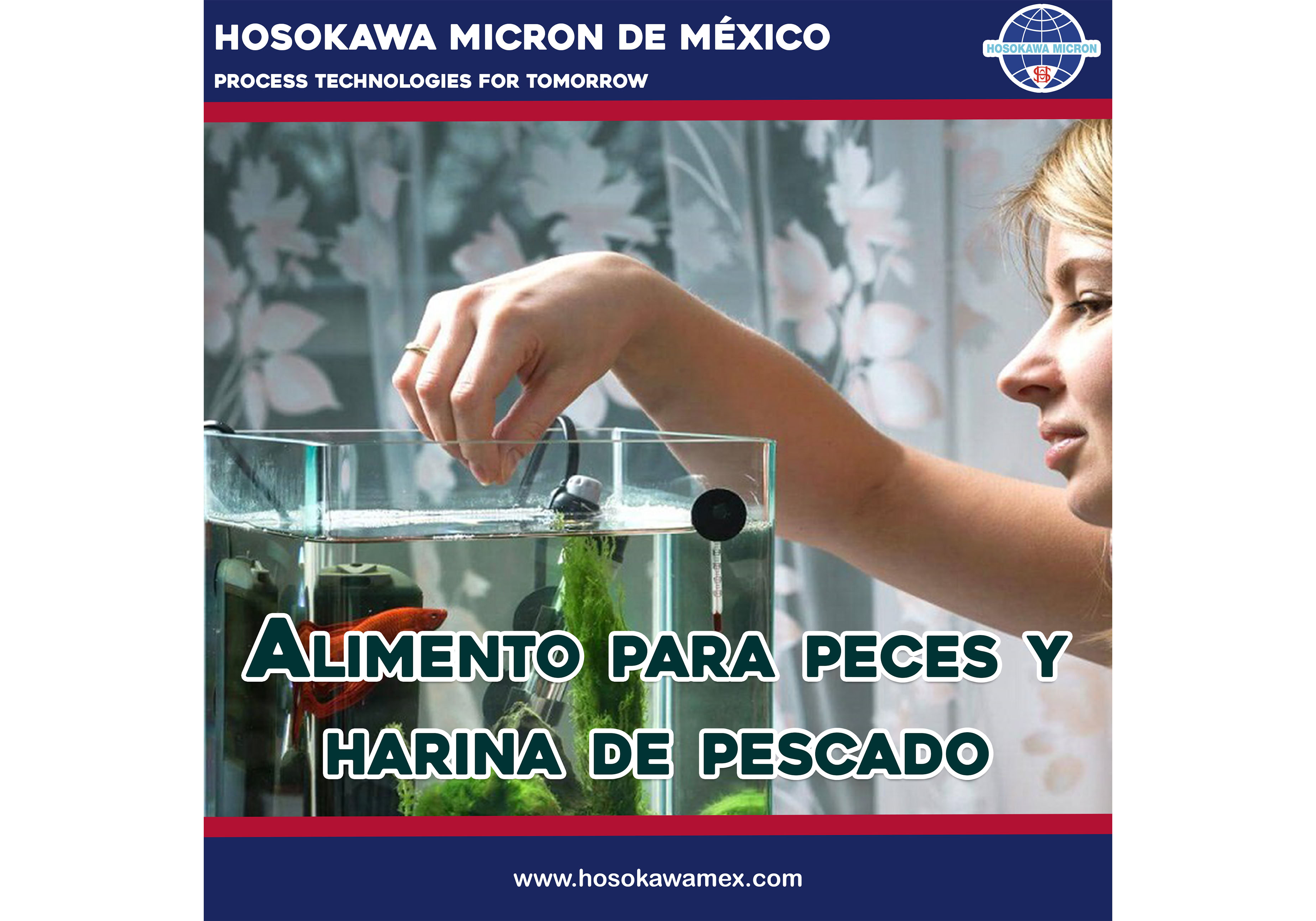 hosokawa_alimento-para-peces-y-harina-de-pescado.webp
