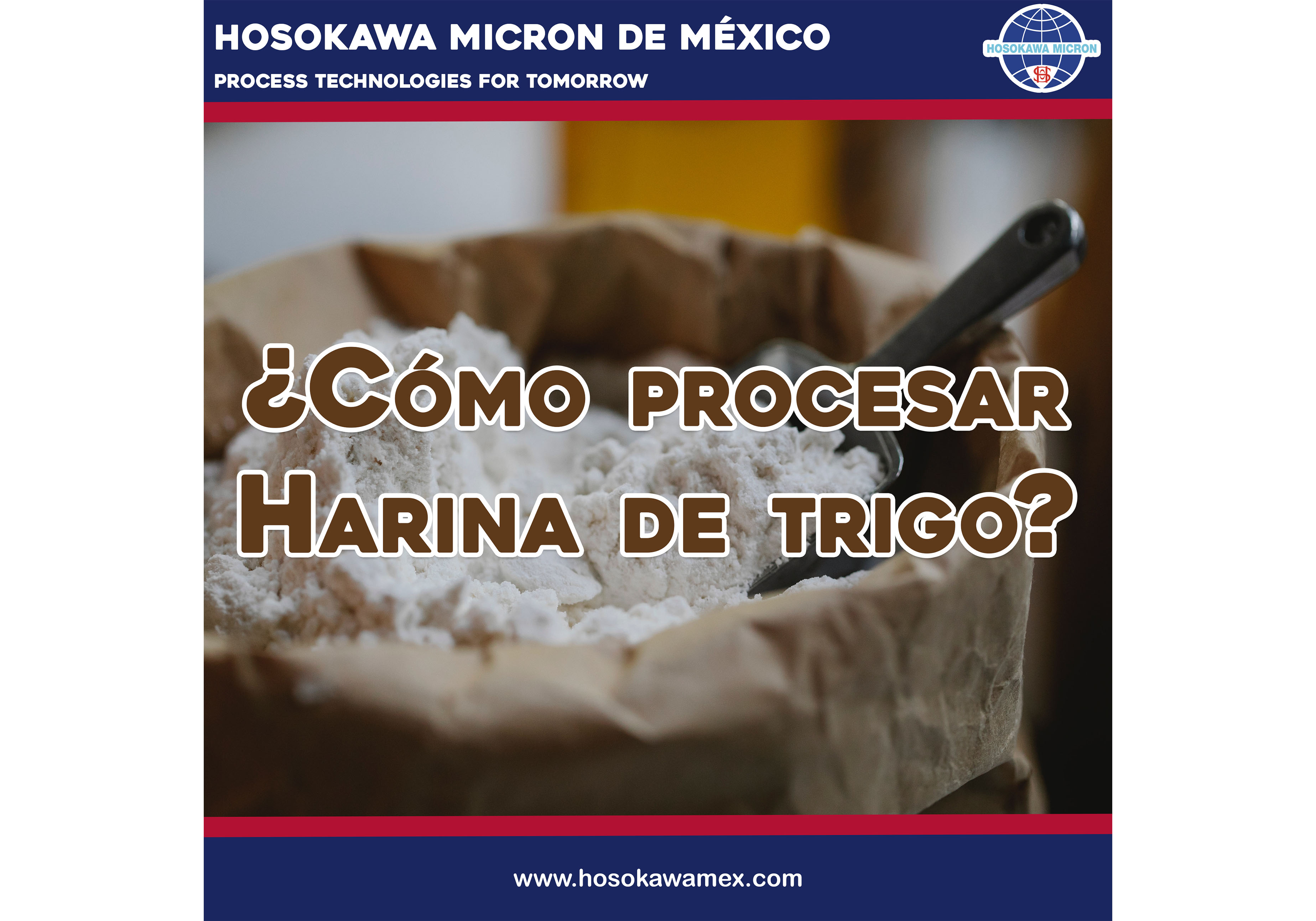 hosokawa_como-procesar-harina-de-trigo.jpg