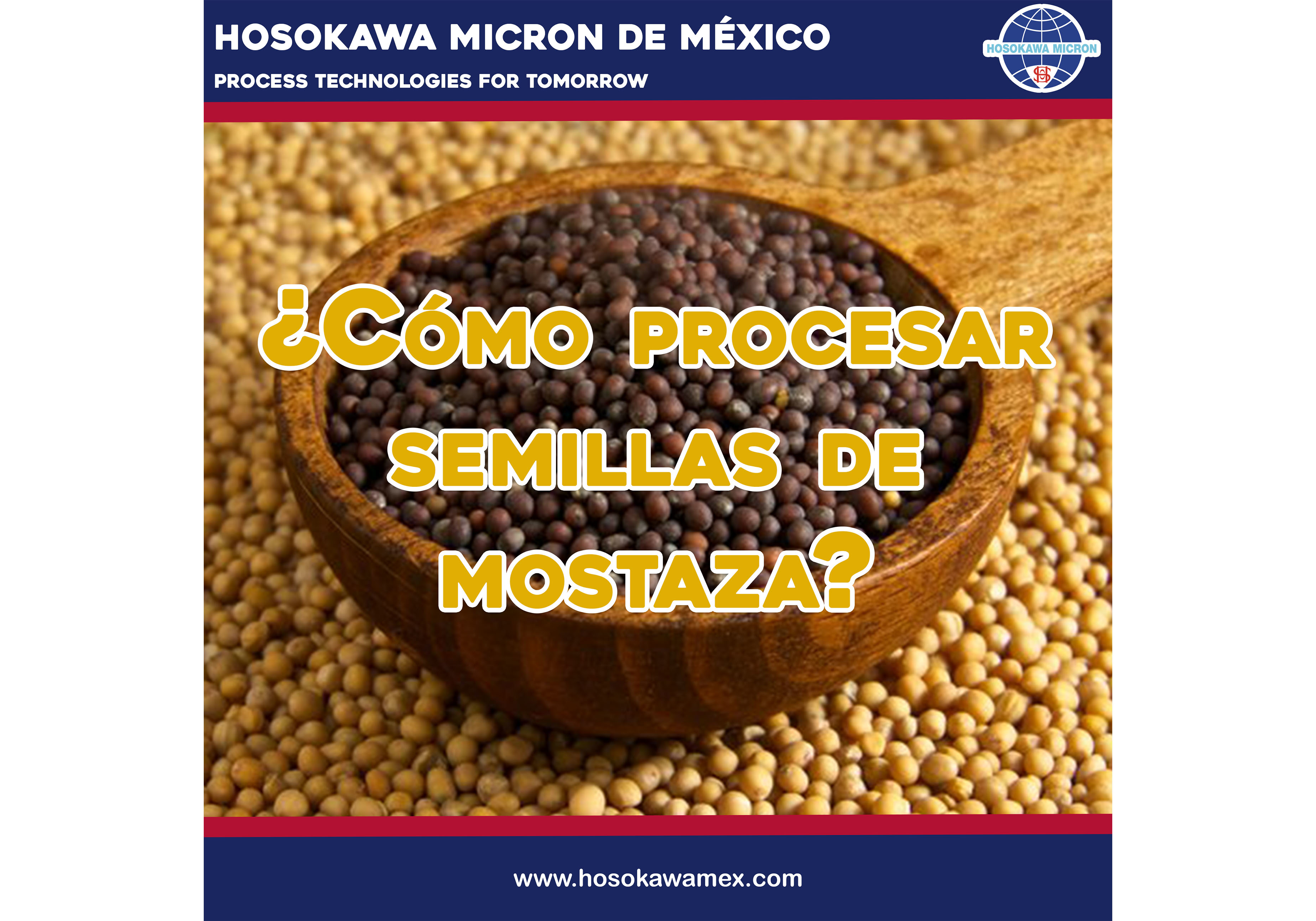 hosokawa_como-procesar-semillas-de-mostaza.webp