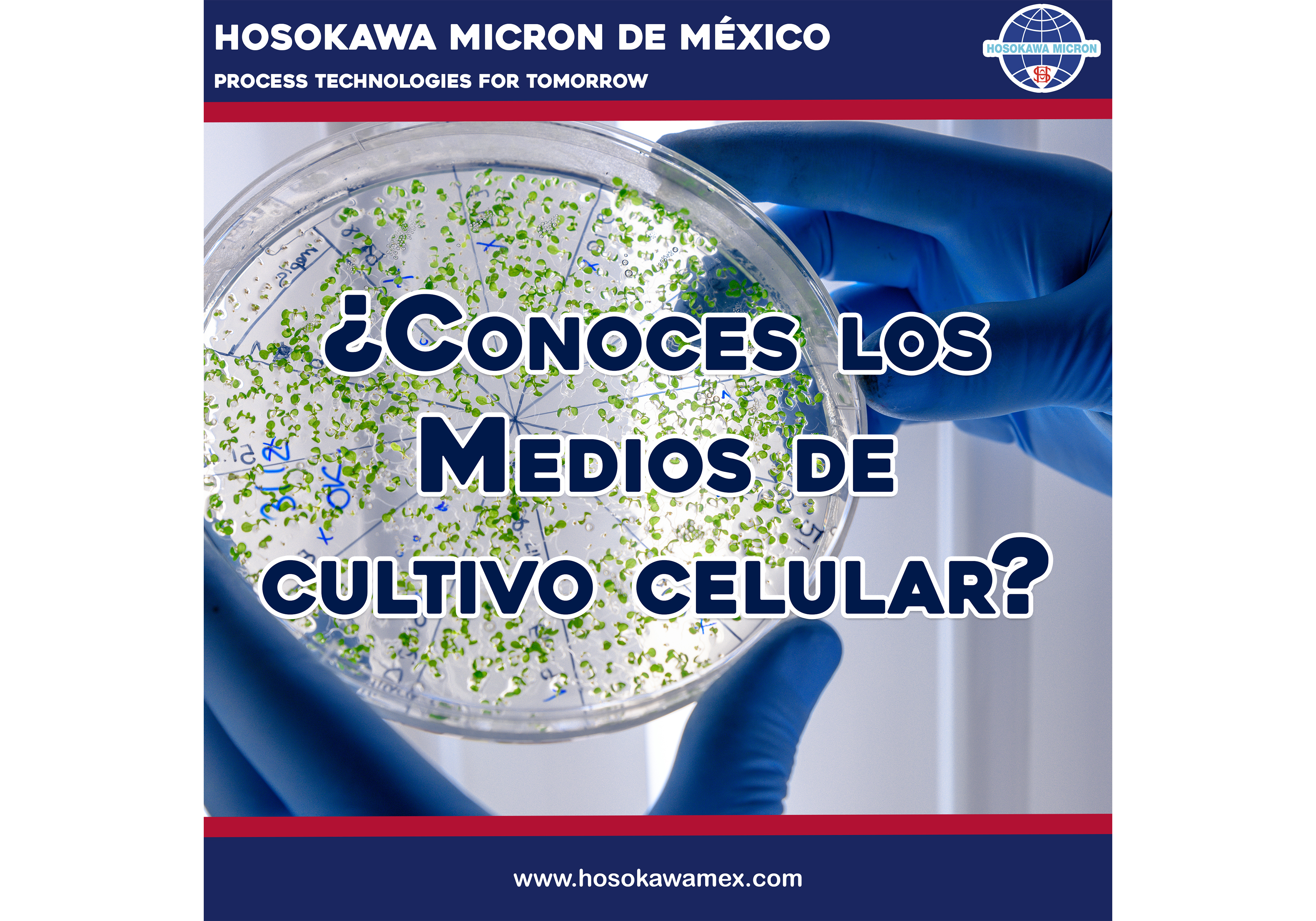 hosokawa_conoces-los-medios-de-cultivo-celular.jpg