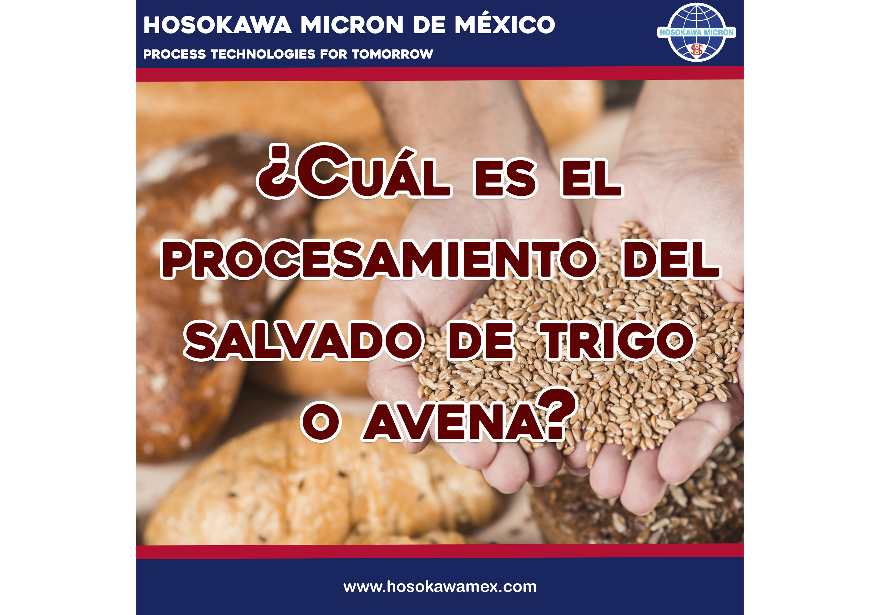 hosokawa_cual-es-el-procesamiento-del-salvado-de-trigo-o-avena.jpg