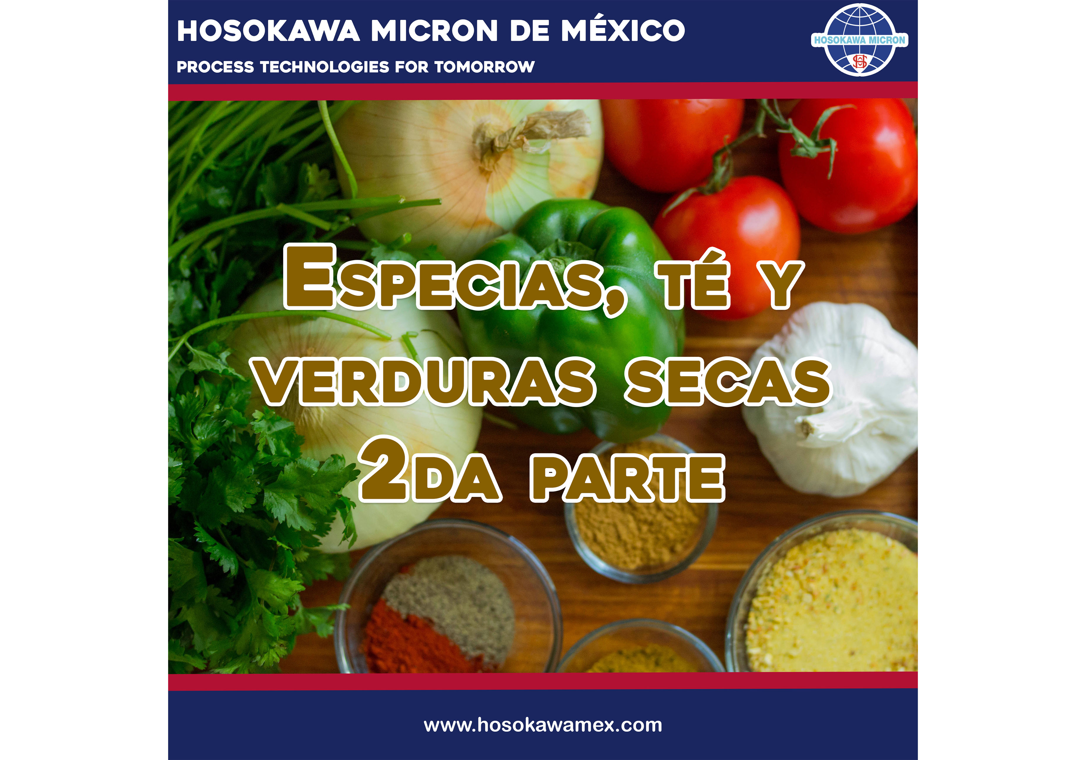 hosokawa_especias-te-y-verduras-secas-2da-parte.jpg