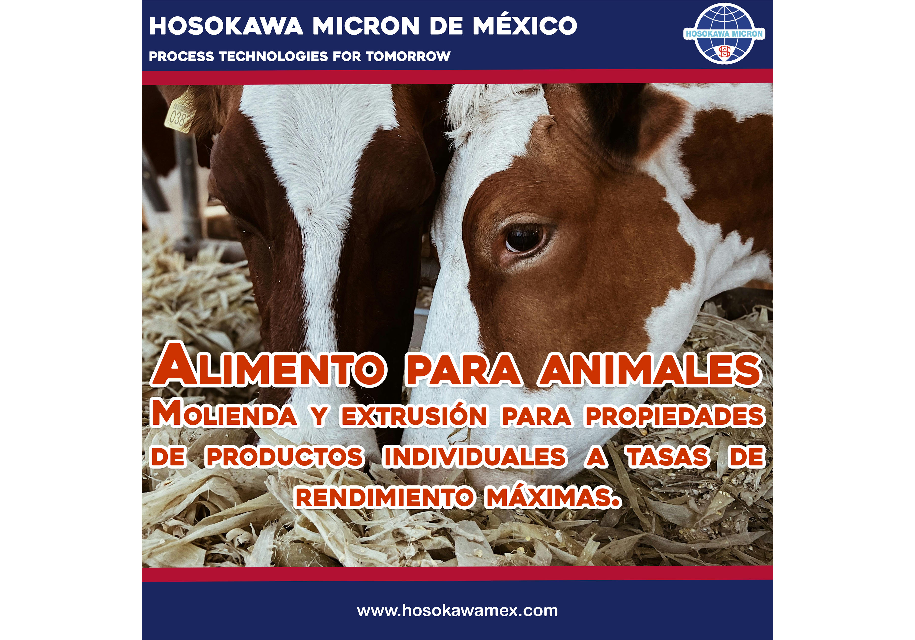 hosokawa_procesamiento-de-alimento-para-animales---animal-feed.webp