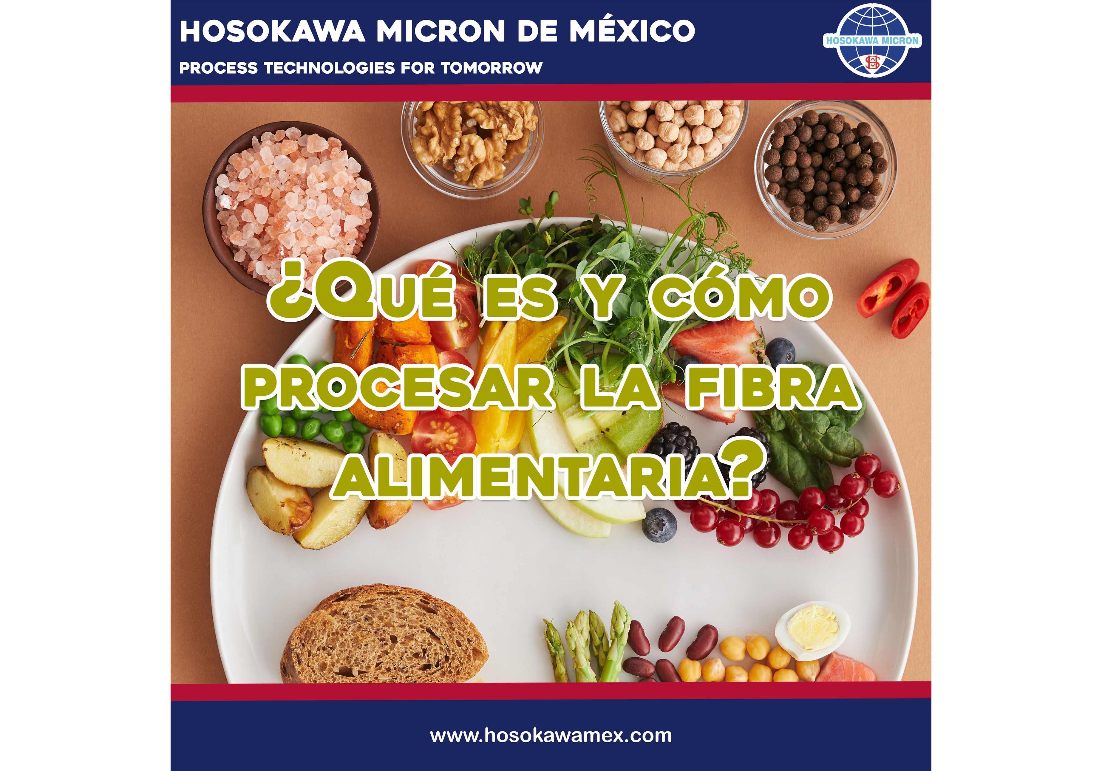 hosokawa_que-es-y-como-procesar-la-fibra-alimentaria.jpg