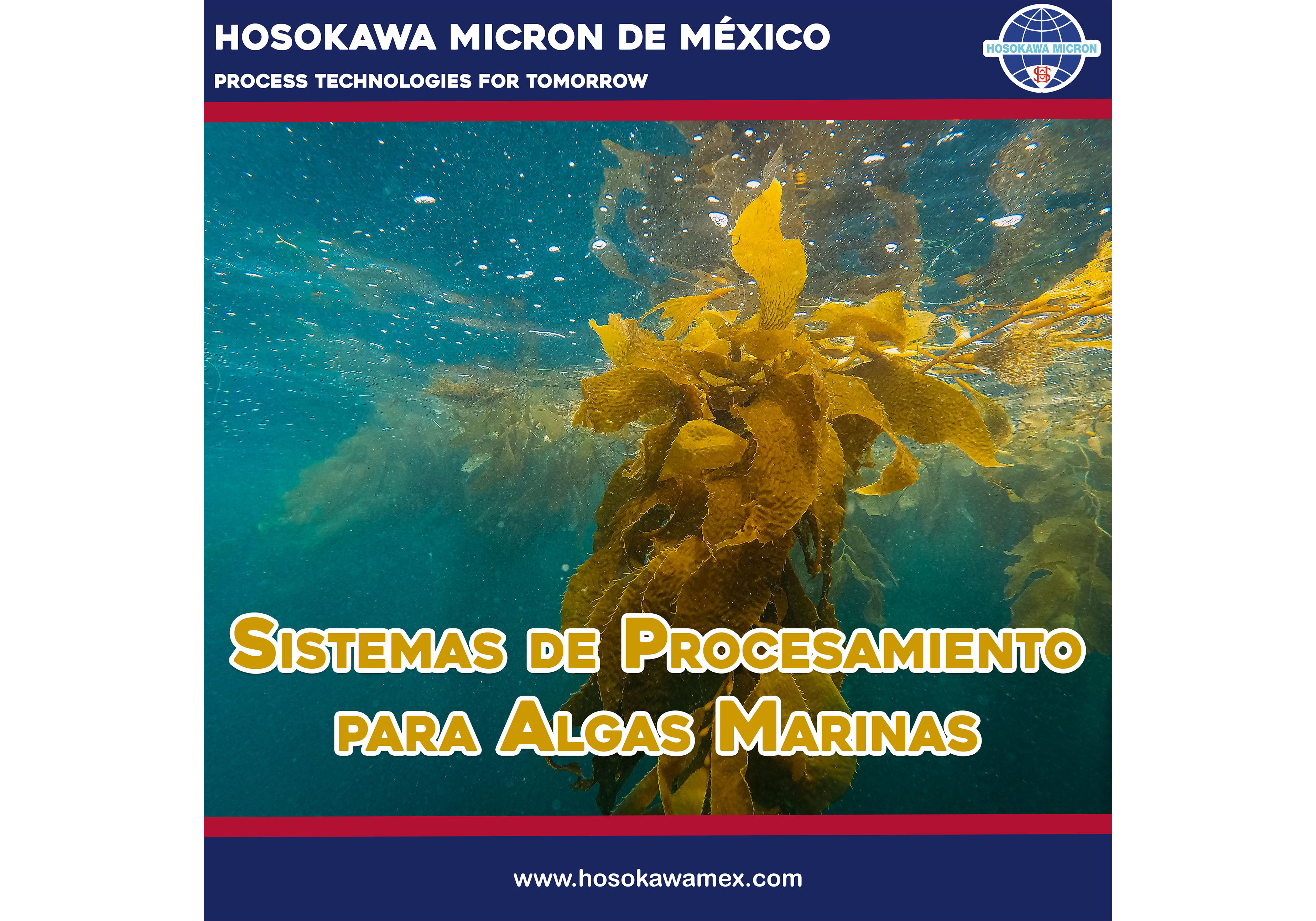 hosokawa_sistemas-de-procesamiento-para-algas-marinas.webp